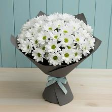 Букет цветов из:  Хризантемы в Костино