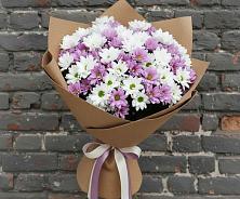 Букет цветов из:  Хризантемы #REPLACE_PRED# Костино