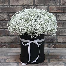 Цветочная композиция из Гипсофила в шляпной коробке #REPLACE_PRED# Костино